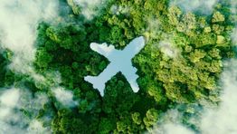 Corporates 'still failing' to cut flight emissions